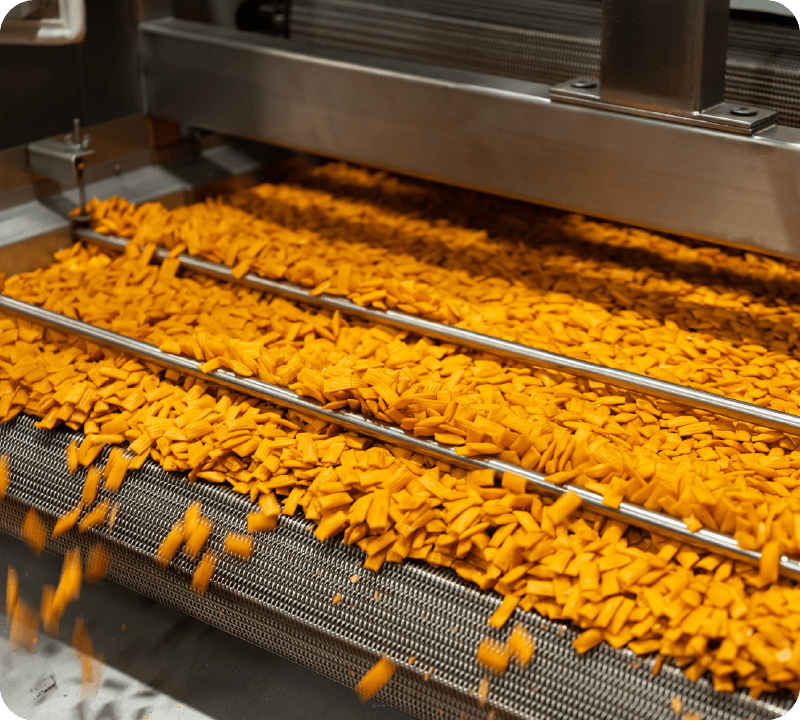 Conveyor Drying Equipment Solutions