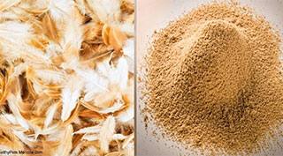 肉骨粉｜飼料乾燥機製造專家｜TSHS 總興實業
