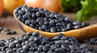 black beans｜TSHS Dryer Manufacturer