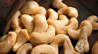 Cashew｜TSHS Dryer Manufacturer