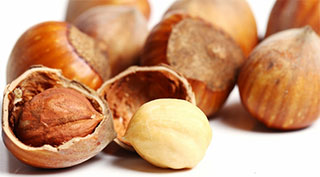 Hazelnut｜TSHS Dryer Manufacturer