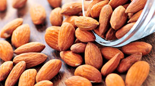 Nut｜TSHS Dryer Manufacturer