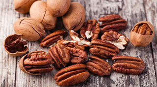 Walnut｜TSHS Dryer Manufacturer